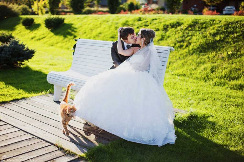 Свадебная фотосессия