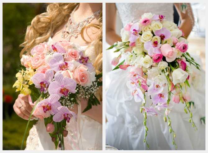 Букет невесты – альстромерия как идеальное решение для создания свадебной композиции из белых или цветных соцветий, сочетание с эустомой, герберами, розами и прочими цветам