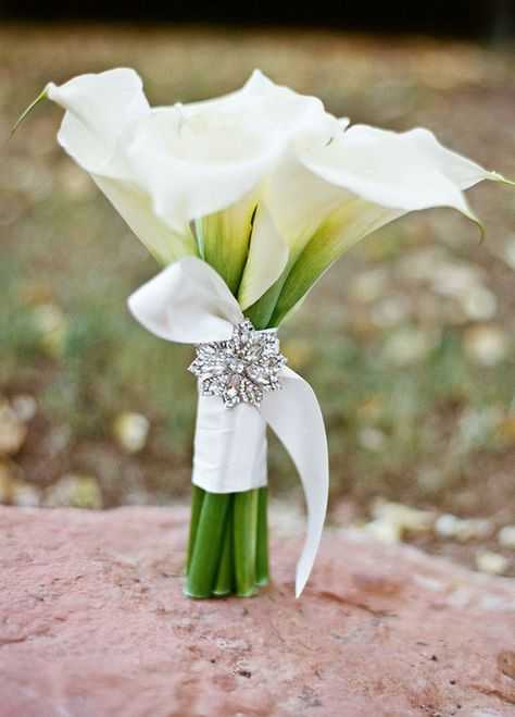 Свадебный букет из калл (73 фото): выбираем букет невесты на свадьбу из бордовых калл с белыми розами и красными фрезиями