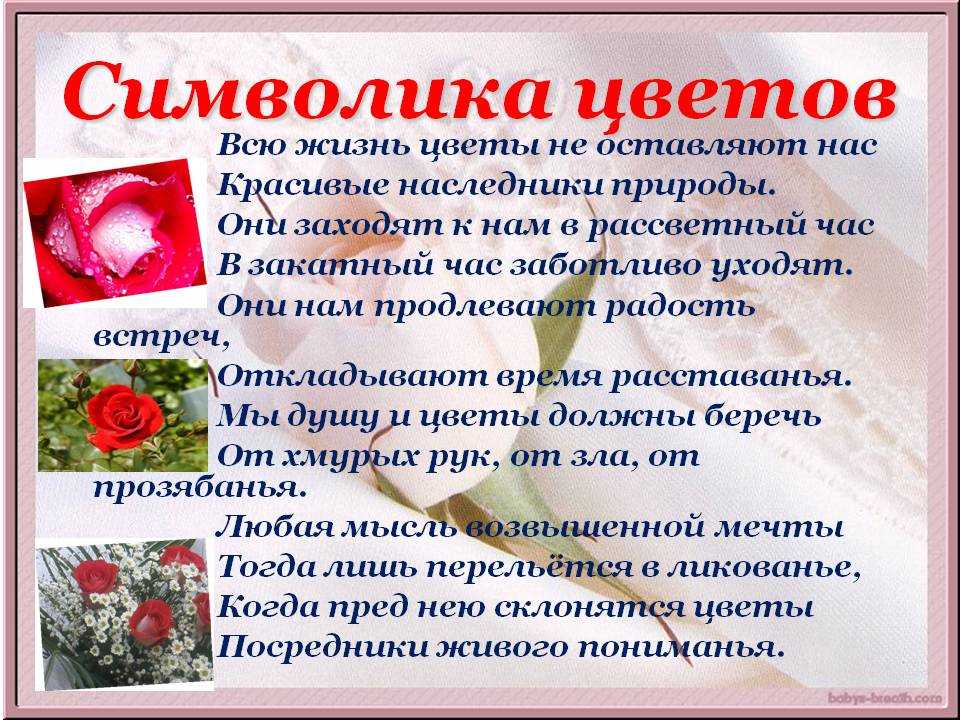 Букет невесты в бежевых тонах: подбор к платью, идеи с фото – с бежево-красными, с розовыми и белыми розами, с пионами, орхидеями и другими цветами, с синим акцентом
