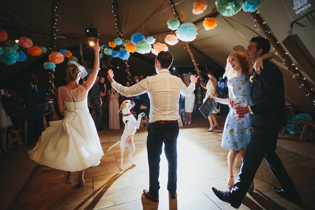 Танец в подарок на свадьбу: как правильно организовать?