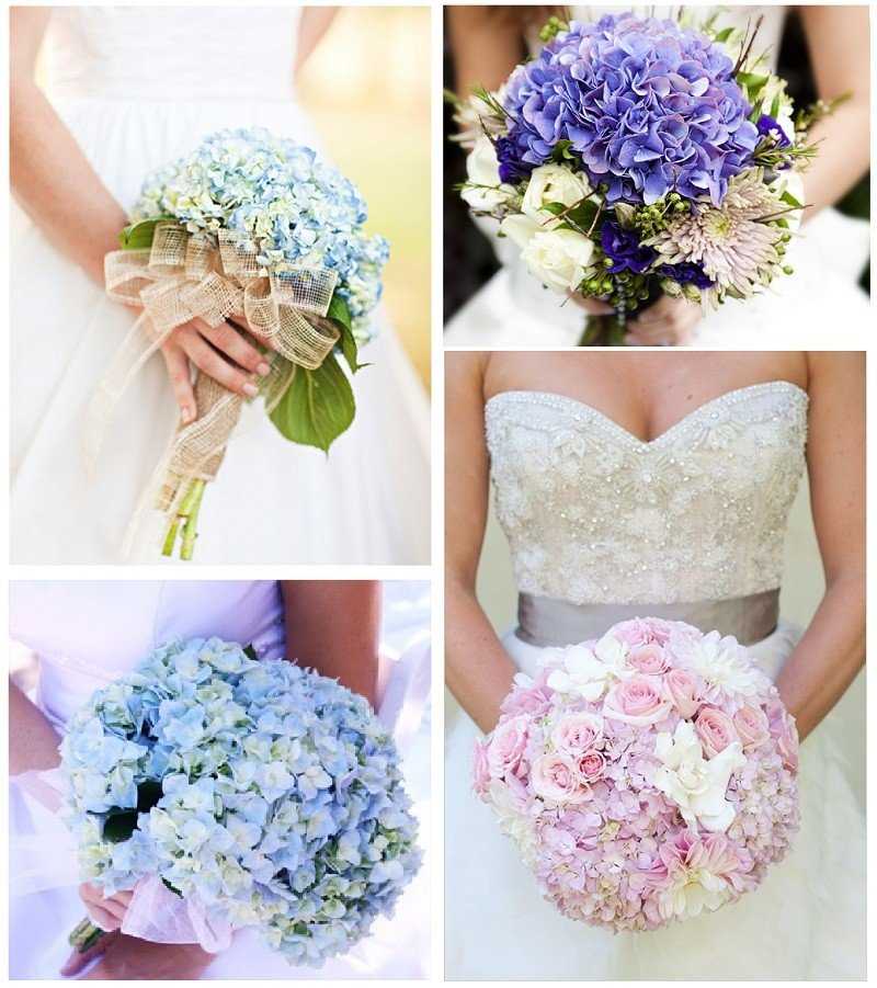 Свадебный букет невесты из гортензии, с чем сочетается цветок, цветовая гамма, как ухаживать, как составить композицию, примеры с фото