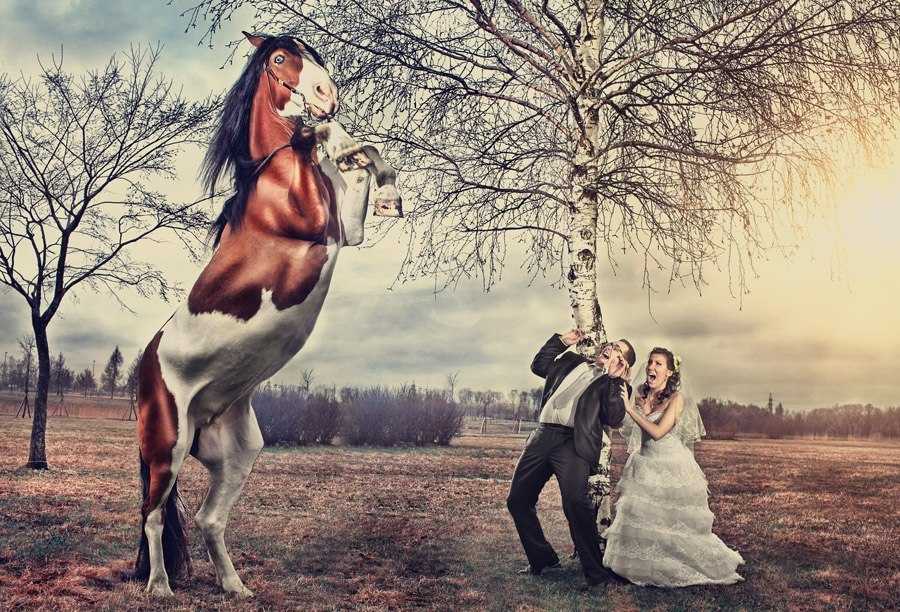Конный клуб форсаж - фотосессии на лошадях