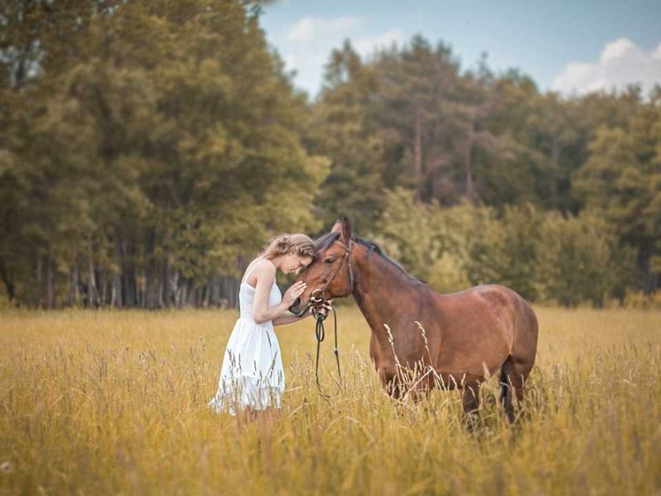 Свадебная фотосессия с лошадьми - идеи проведения, примеры и фото