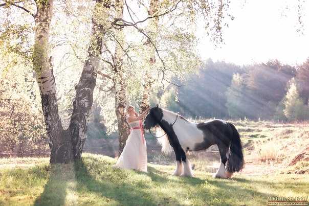 Свадебная фотосессия с лошадьми, собаками — фото и видео пример