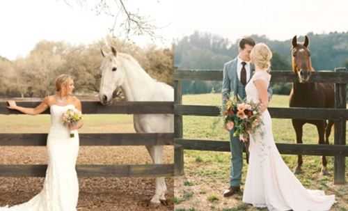 ᐉ как сделать красивые свадебные фото с лошадьми и собаками – идеи для фотосессии - ➡ danilov-studio.ru