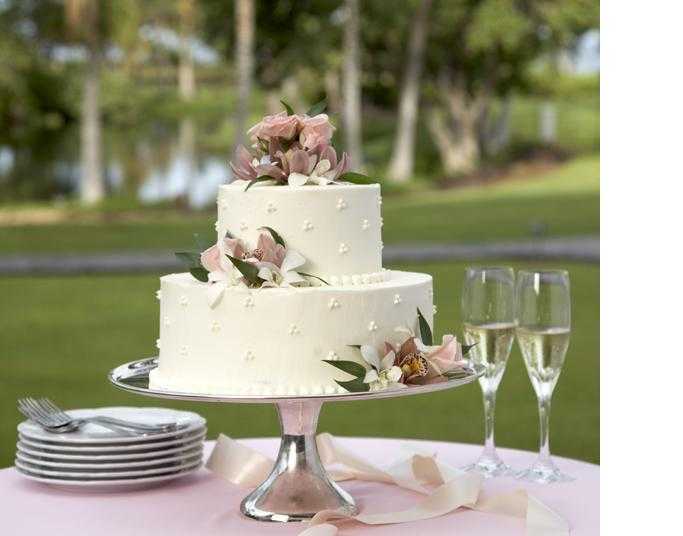Двухъярусный (многоярусный) торт на свадьбу: плюсы и минусы, способы фиксации, сборки, хранения и перевозки тортов из 2 и 3 ярусов, стоимость, фото
