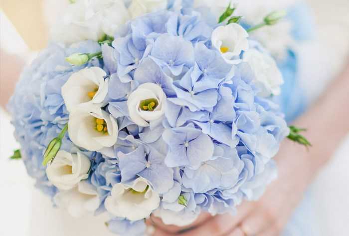 Небесная красота: изучаем, чем хорош пронзительный голубой букет невесты
