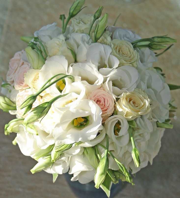 Свадебный букет из кустовых роз? и фрезий – варианты [2021] для невесты своими руками с белыми & красными цветами, а также фото