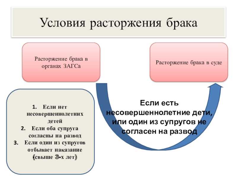 Вступил ли в силу законопроект о выплате пошлины в размере 30 000 рублей за развод?