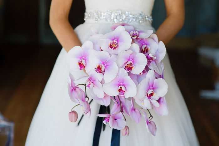 Букет невесты – альстромерия как идеальное решение для создания свадебной композиции из белых или цветных соцветий, сочетание с эустомой, герберами, розами и прочими цветам