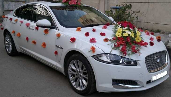 ᐉ свадебные наклейки, магниты, номера на машину - как украсить - svadebniy-mir.su