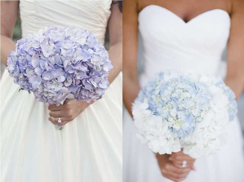 Букет невесты из гортензии: самые стильные идеи с фото - монокомпозиции с белыми, синими и голубыми цветами, сочетания с розами, пионами, орхидеями