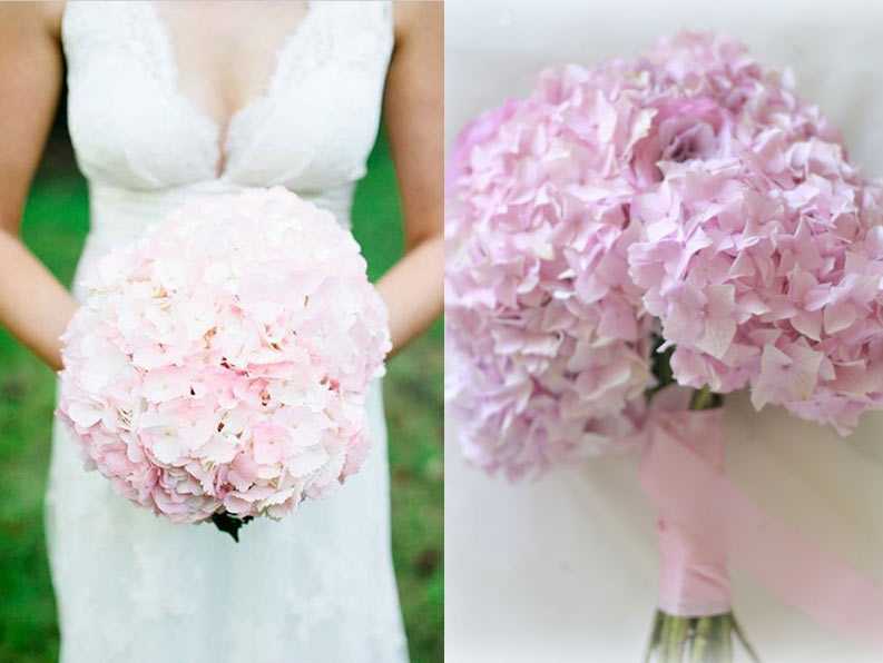 Свадебный букет из гортензии (73 фото): выбираем букет для невесты из гортензий с белыми розами, голубой фрезией и синей орхидеей