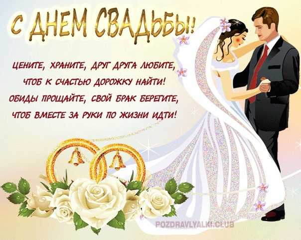Поздравления на свадьбу своими словами ✍ 50 пожеланий молодым в день бракосочетания, короткие
