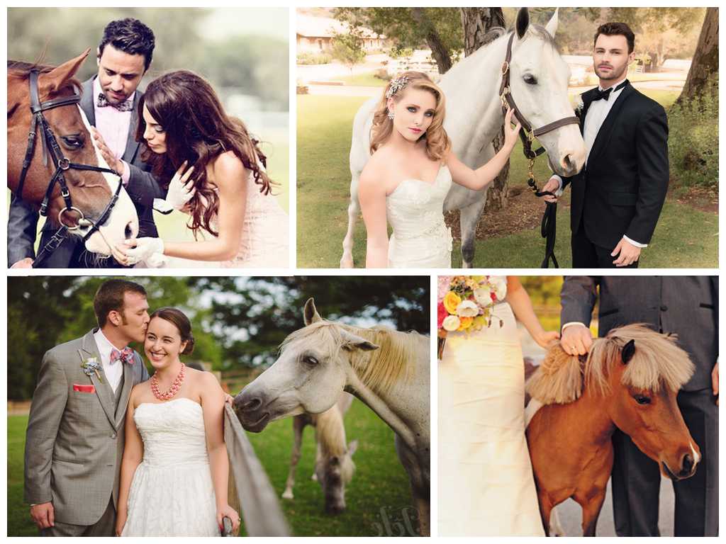 Как провести незабываемую свадебную фотосессию с лошадьми: идеи и фото