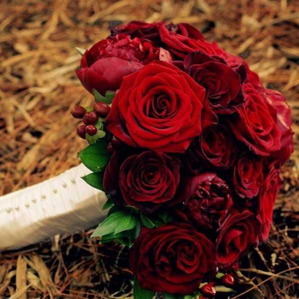 Свадебный букет из васильков: варианты сочетания с ромашками, розами и другими цветами, фото