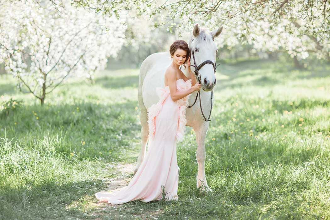 Как сделать красивые свадебные фото с лошадьми и собаками