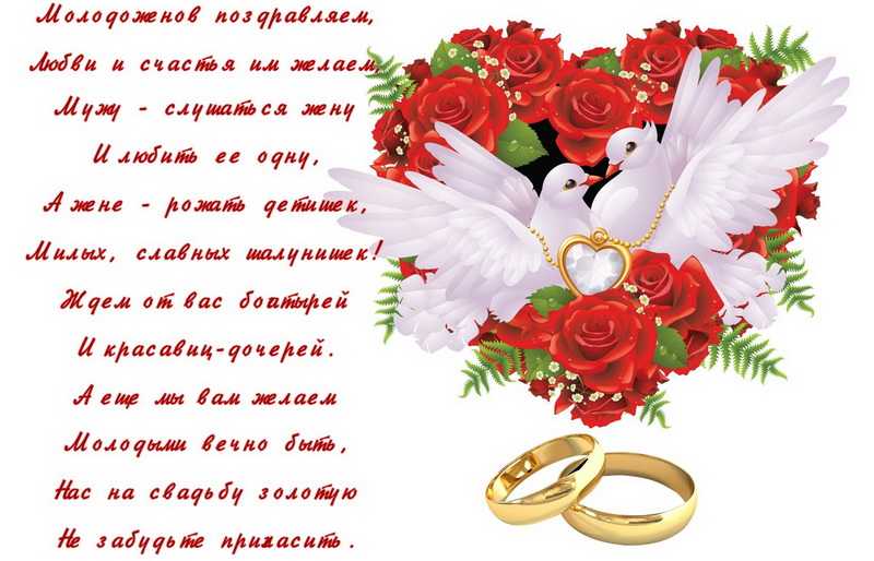 Поздравления на свадьбу в прозе ✍ 50 пожеланий молодоженам в день бракосочетания, красивые, до слез, мудрые