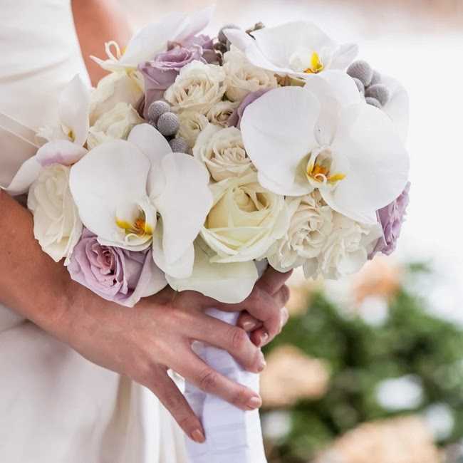 Букет невесты из гвоздики: символизм, богатство оттенков и форм, монокомпозиции из розовых, белых или красных гвоздик, а также сочетание с розами и лизиантусами