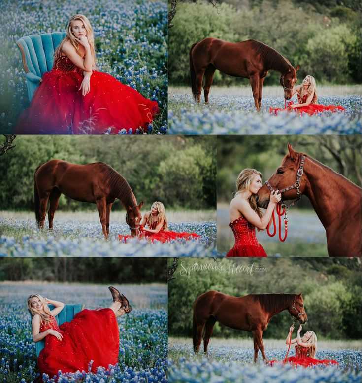 Фотосессия с лошадьми летом с девушкой: идеи фото, позы, как снимать